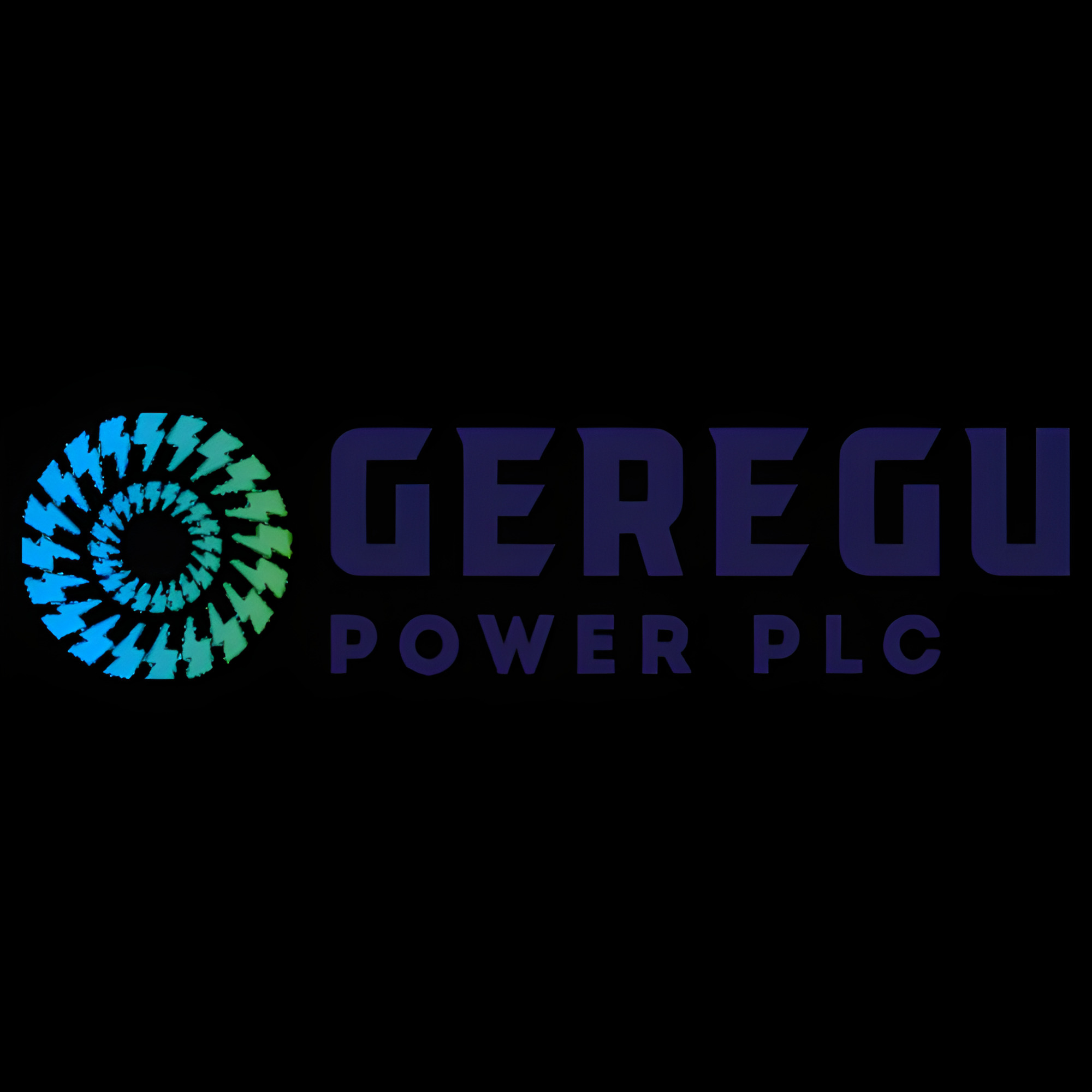 Partner logo 4
